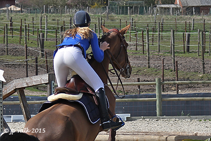 800 Paarden in manege M&M voor eerste jumping 2015