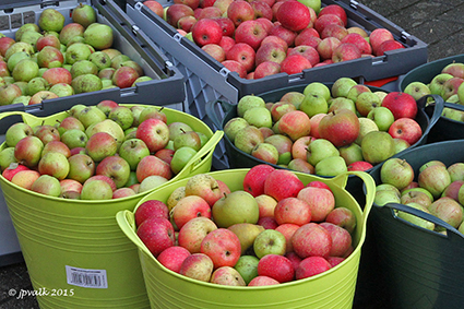 Sapmobiel perst 4 ton appelen.