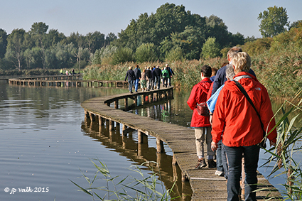 Schoveriken wild van Wilderen