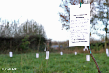 Boompjes voor Vechtersbos Nietelbroeken