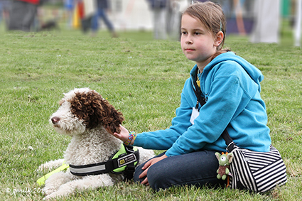 Emilyday t.v.v. diabetesmeldhond Sammy