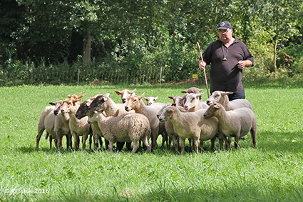 Landschapsdoedag en 60 jaar De Maten in het Patersbos van Rooierheide