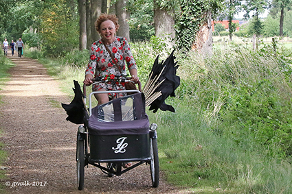 Zwarte vlaggen voor behoud van bomen aan de Dauteweyers