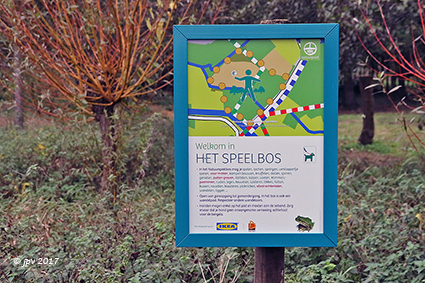 Kinderen nemen speelbos in gebruik