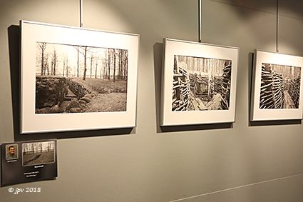 Omni-Foto stelt werken van de leden voor