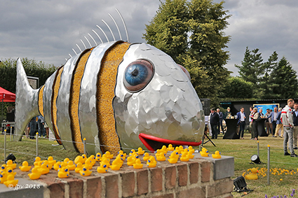 Circa 40.000 badeendjes in walvis ‘ Jonas’
