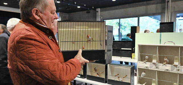 Succesvolle vogelbeurs van De Witte Spreeuwen