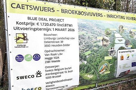 Ecologische opwaardering van Diepenbeekse Caetsweyers