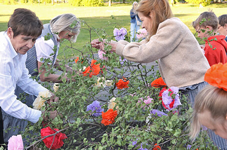 Meiboomplanting Terlogt